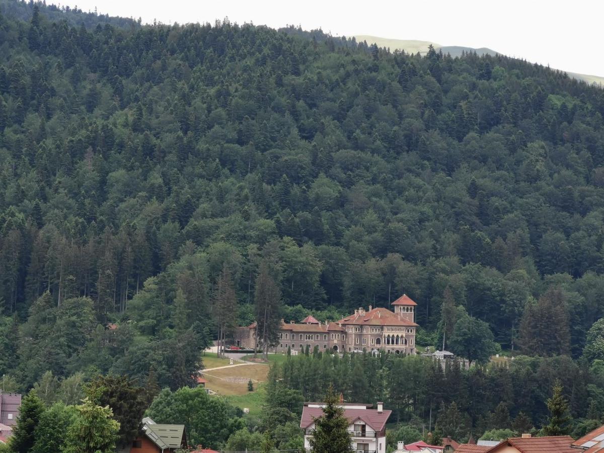 Hotel Iri Busteni Exterior photo